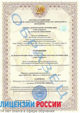 Образец разрешение Амурск Сертификат ISO 50001